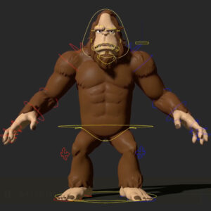 3D character rig